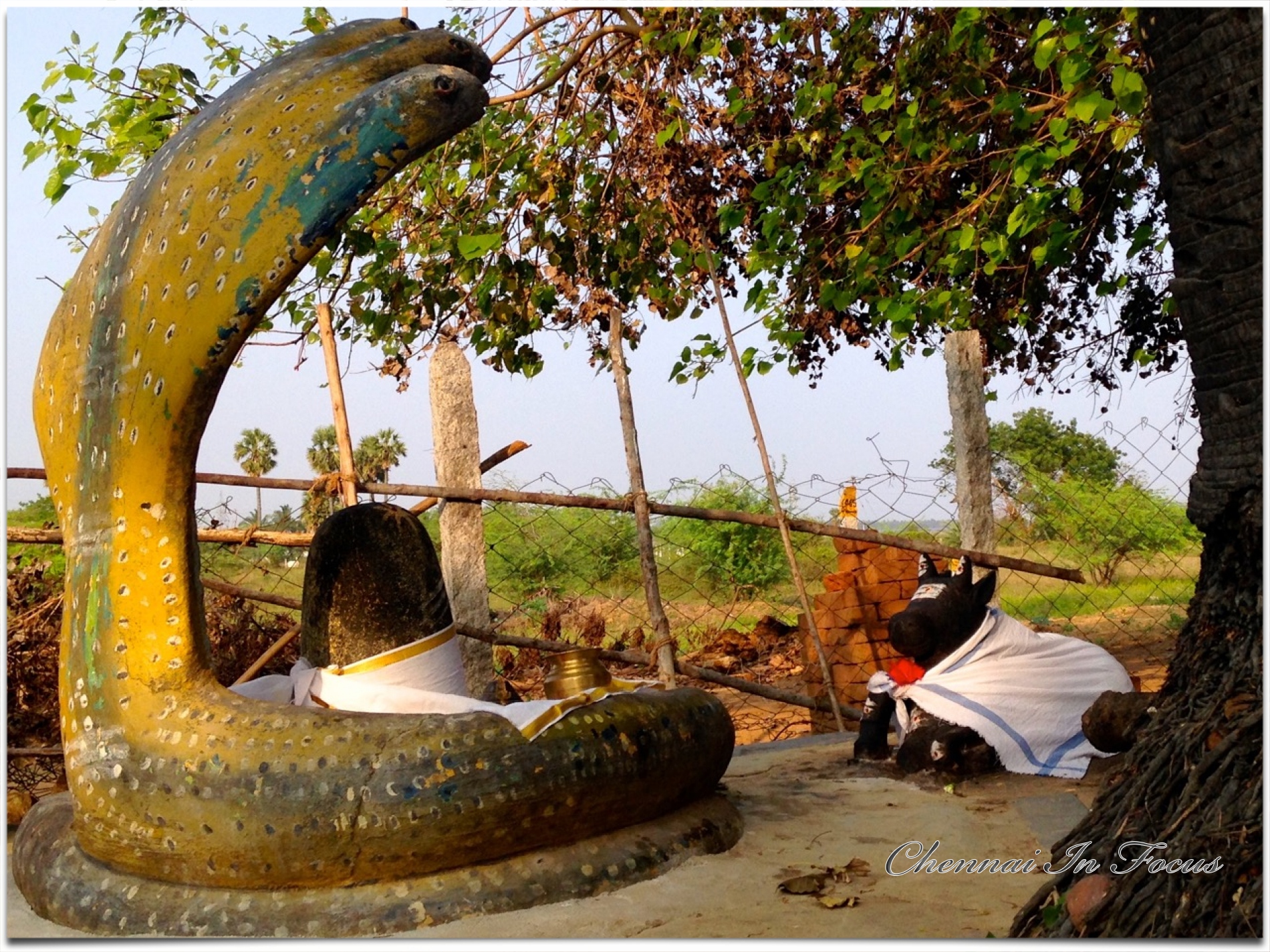 Sri Arulveli Siddhar Baba Jeeva Samadhi