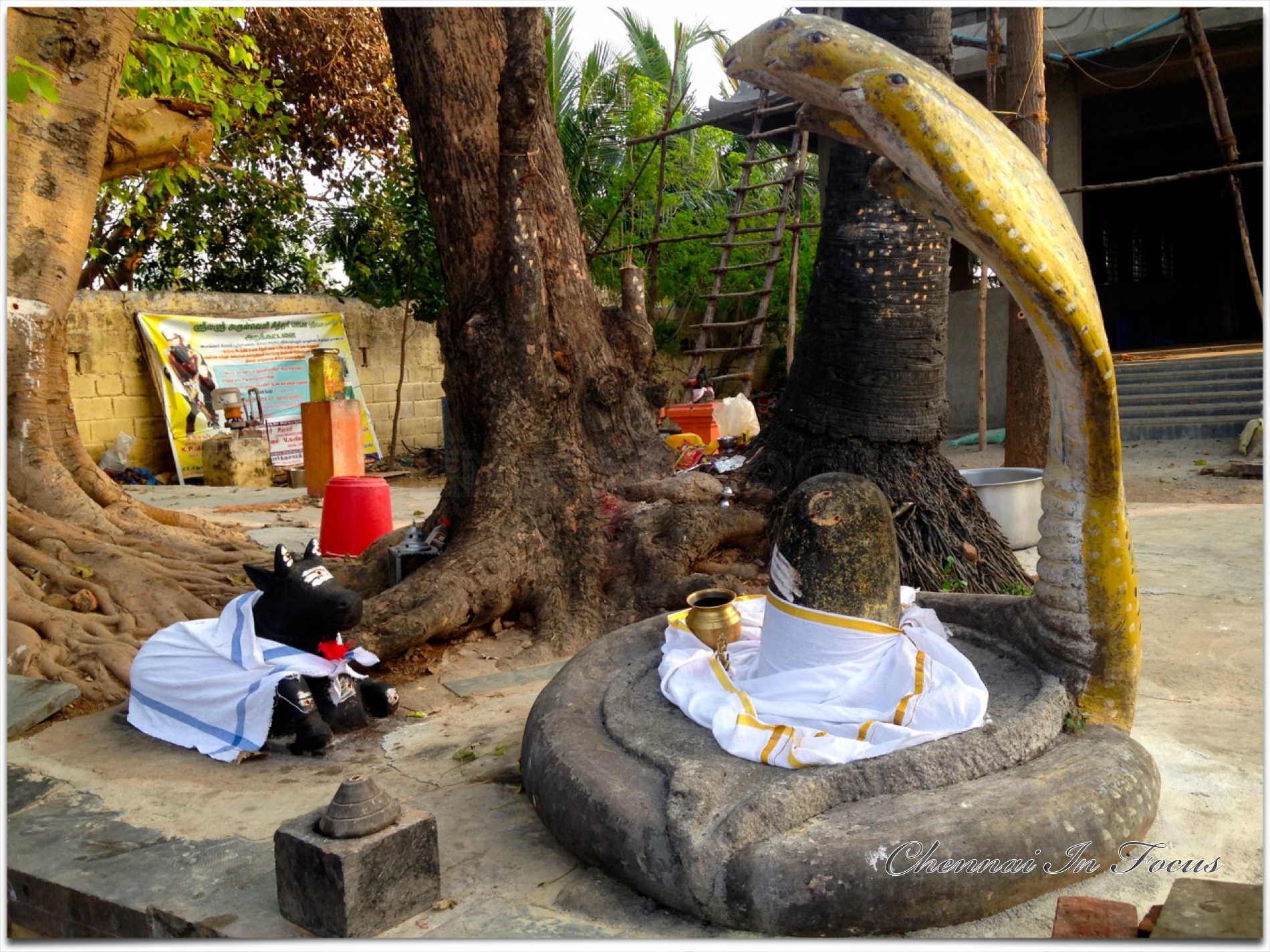 Sri Arulveli Siddhar Baba Jeeva Samadhi