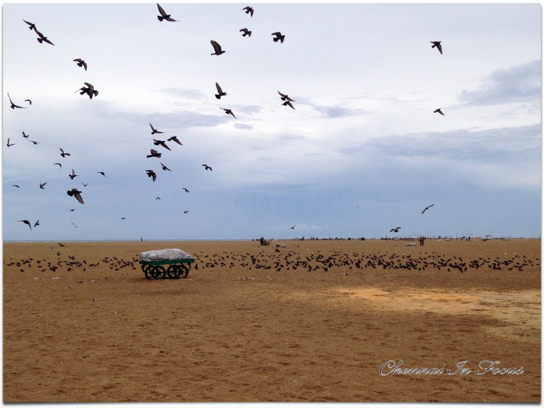 Marina Beach | மெரினா கடற்கரை | Kalicharan