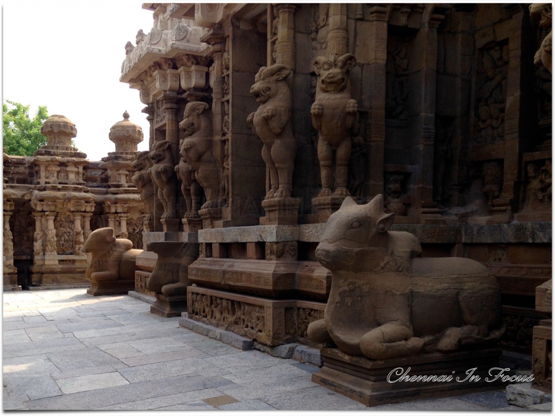 Kanchi Kailasanathar Temple