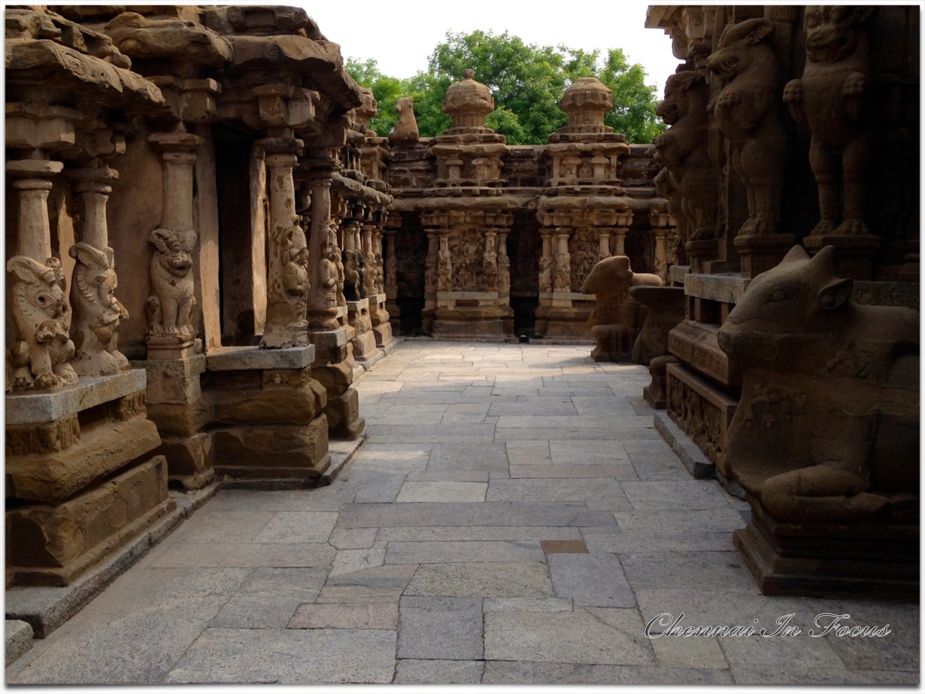 Kanchi Kailasanathar Temple