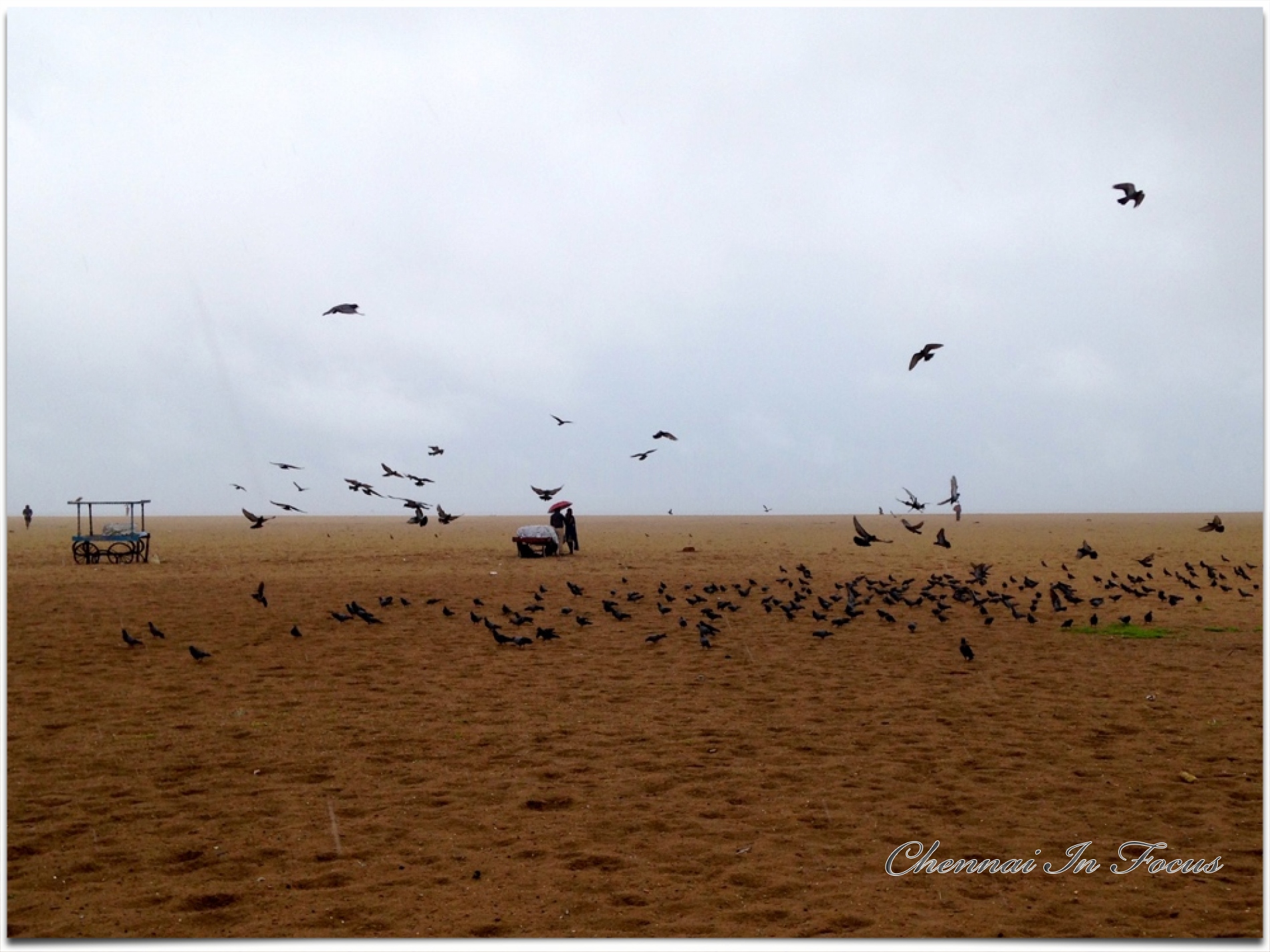 Marina Beach | மெரினா கடற்கரை | Kalicharan