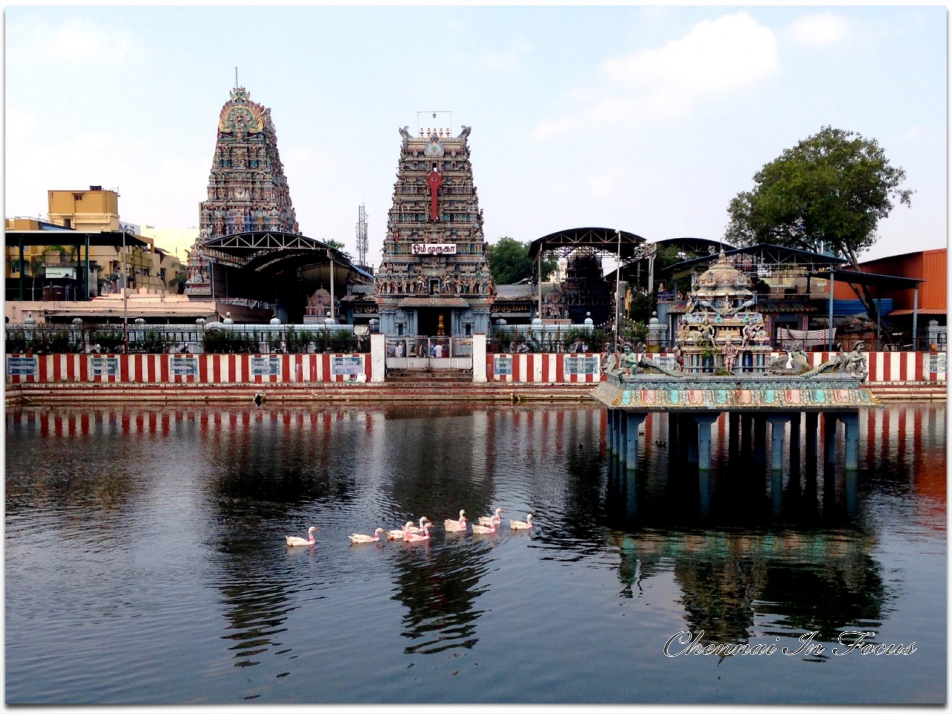Arulmigu Vadapalani Andavar Thirukoil Vadapalani Murugan | வடபழநி முருகன் கோவில்