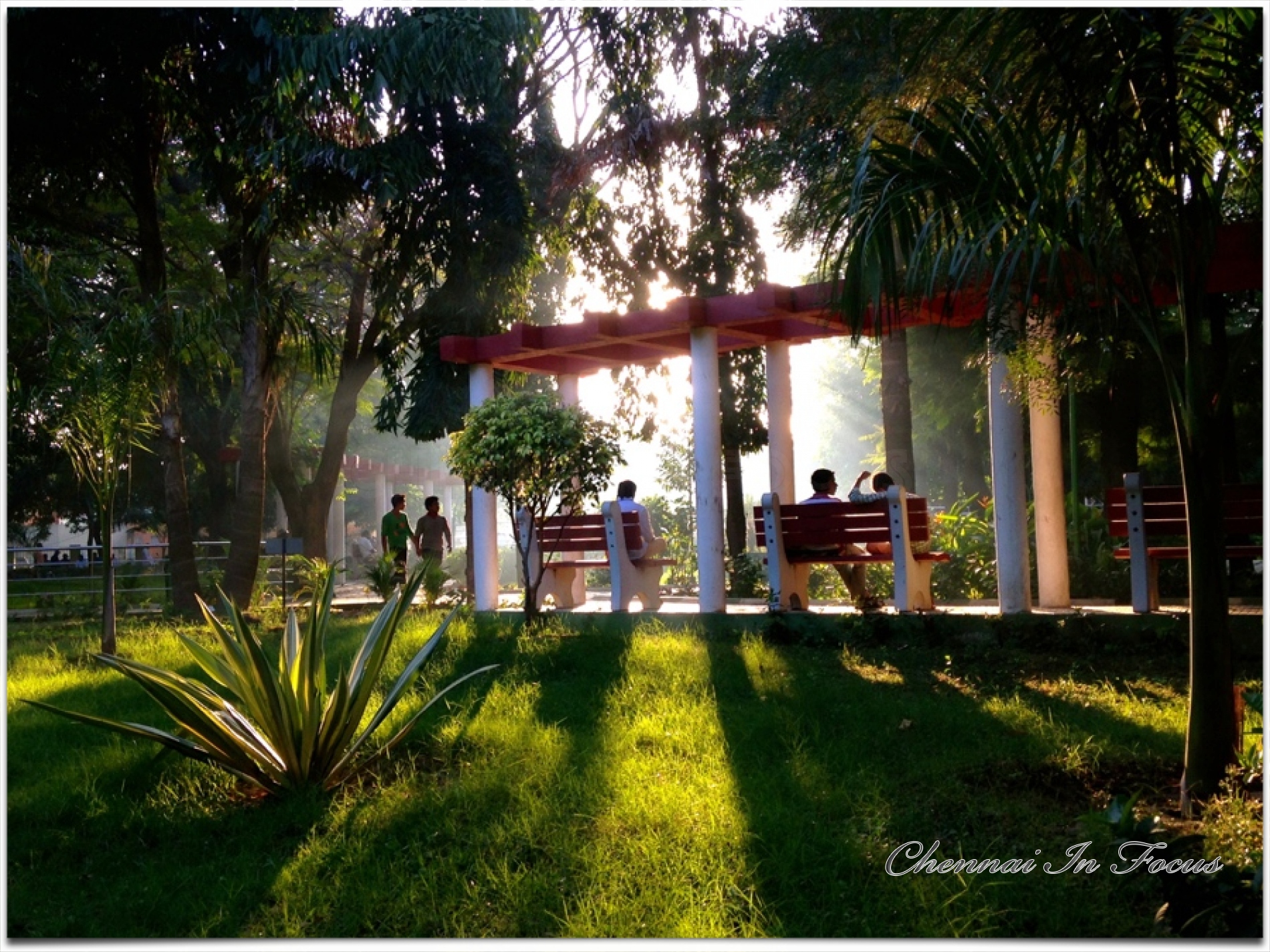 Natesan Park located on Venkatanarayana Road in T.Nagar, Chennai, India.