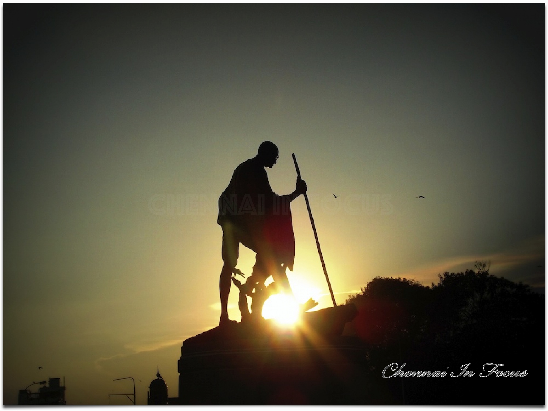 Chennai | Gandhi