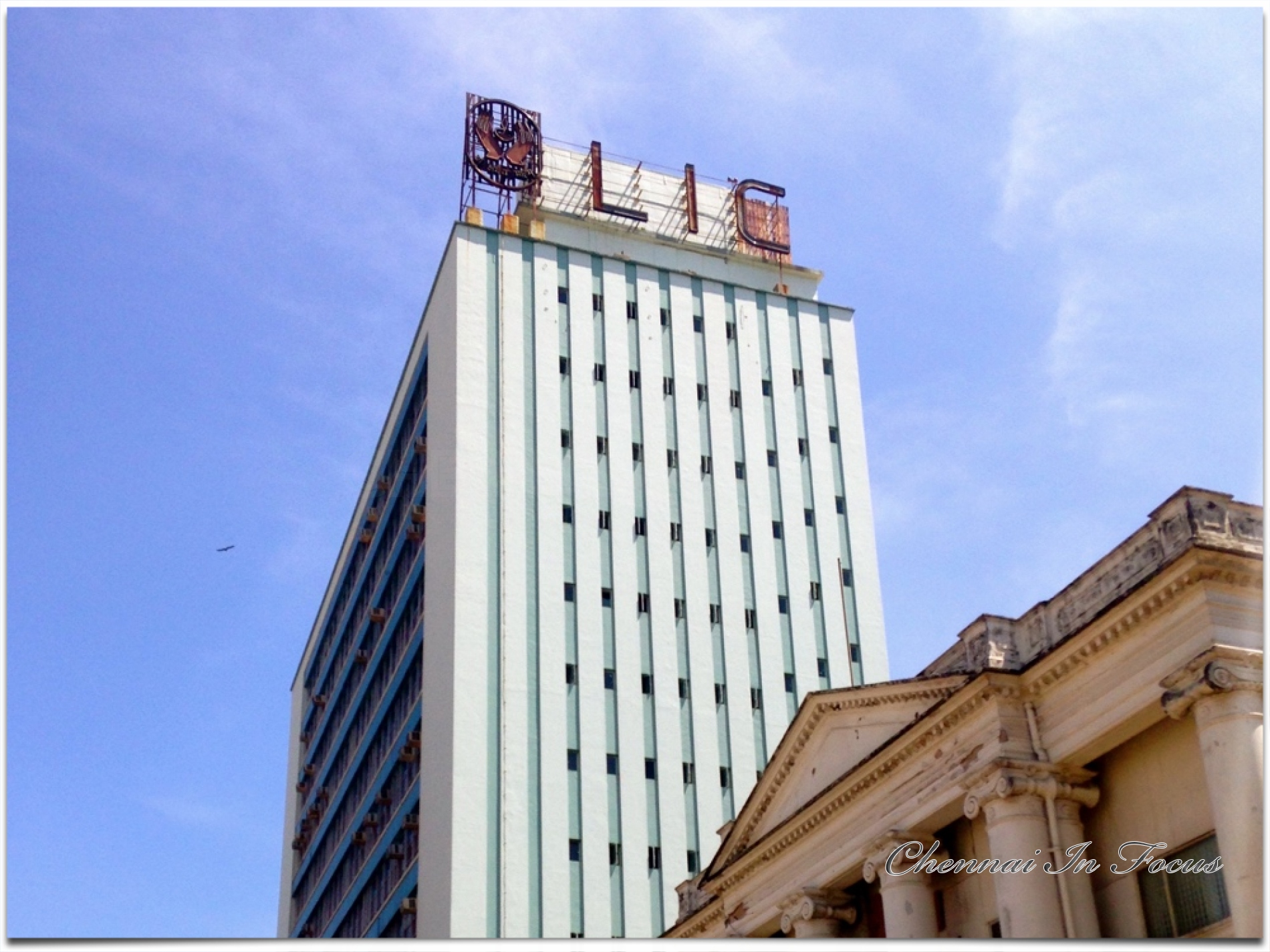 LIC - Chennai In Focus