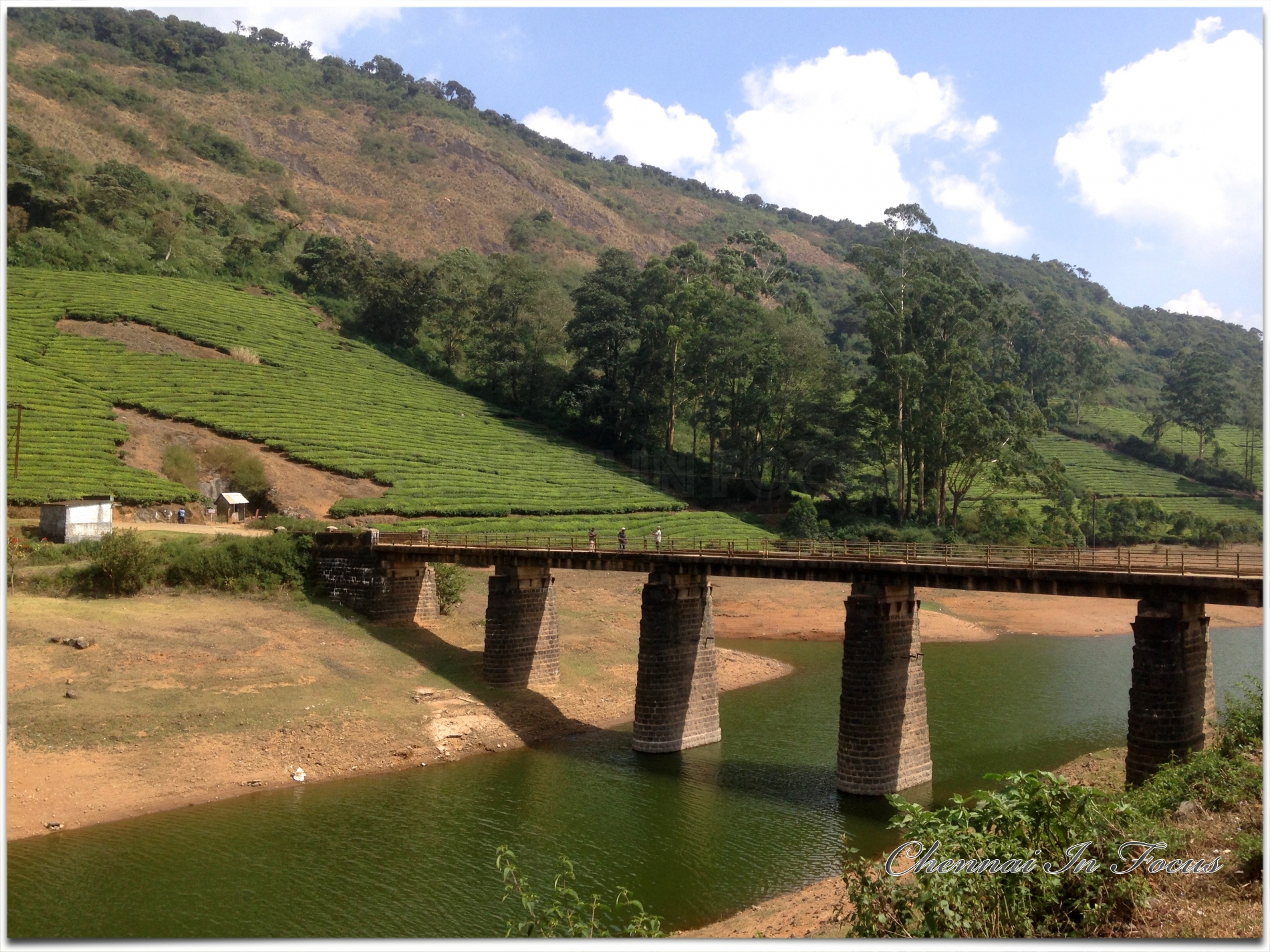 Megamalai - மேகமலை