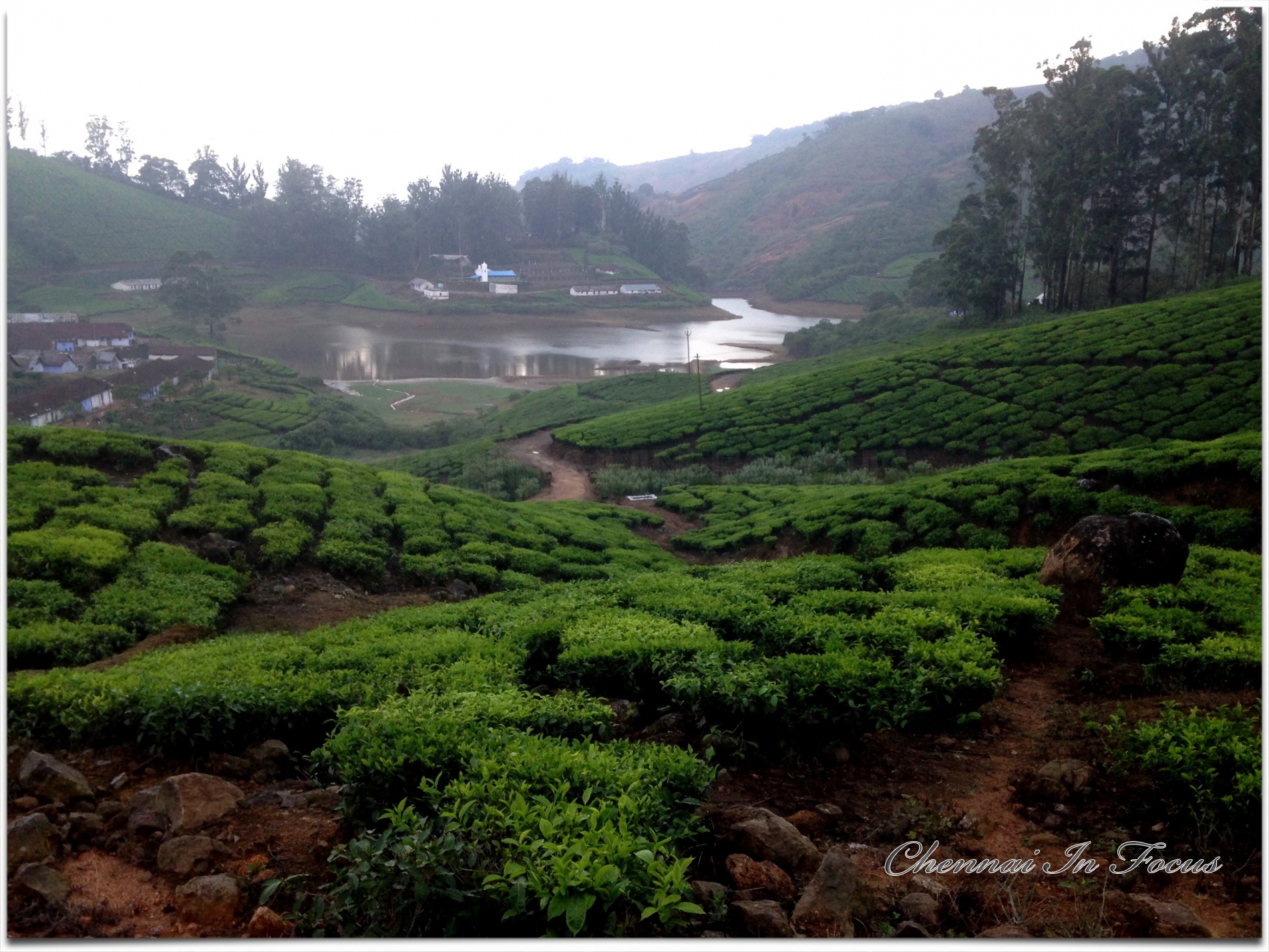 Megamalai - மேகமலை