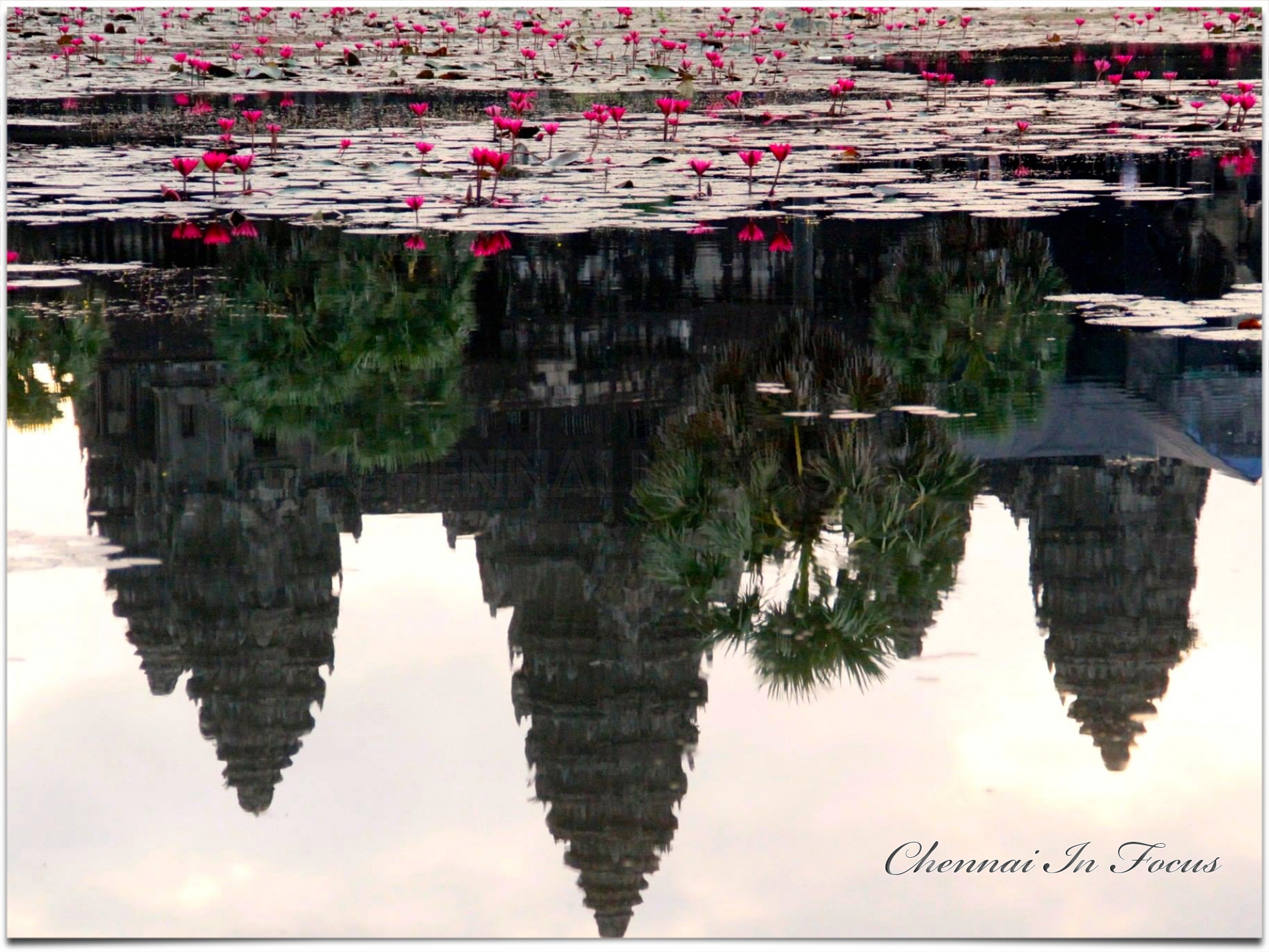 Angkor Wat | Cambodia