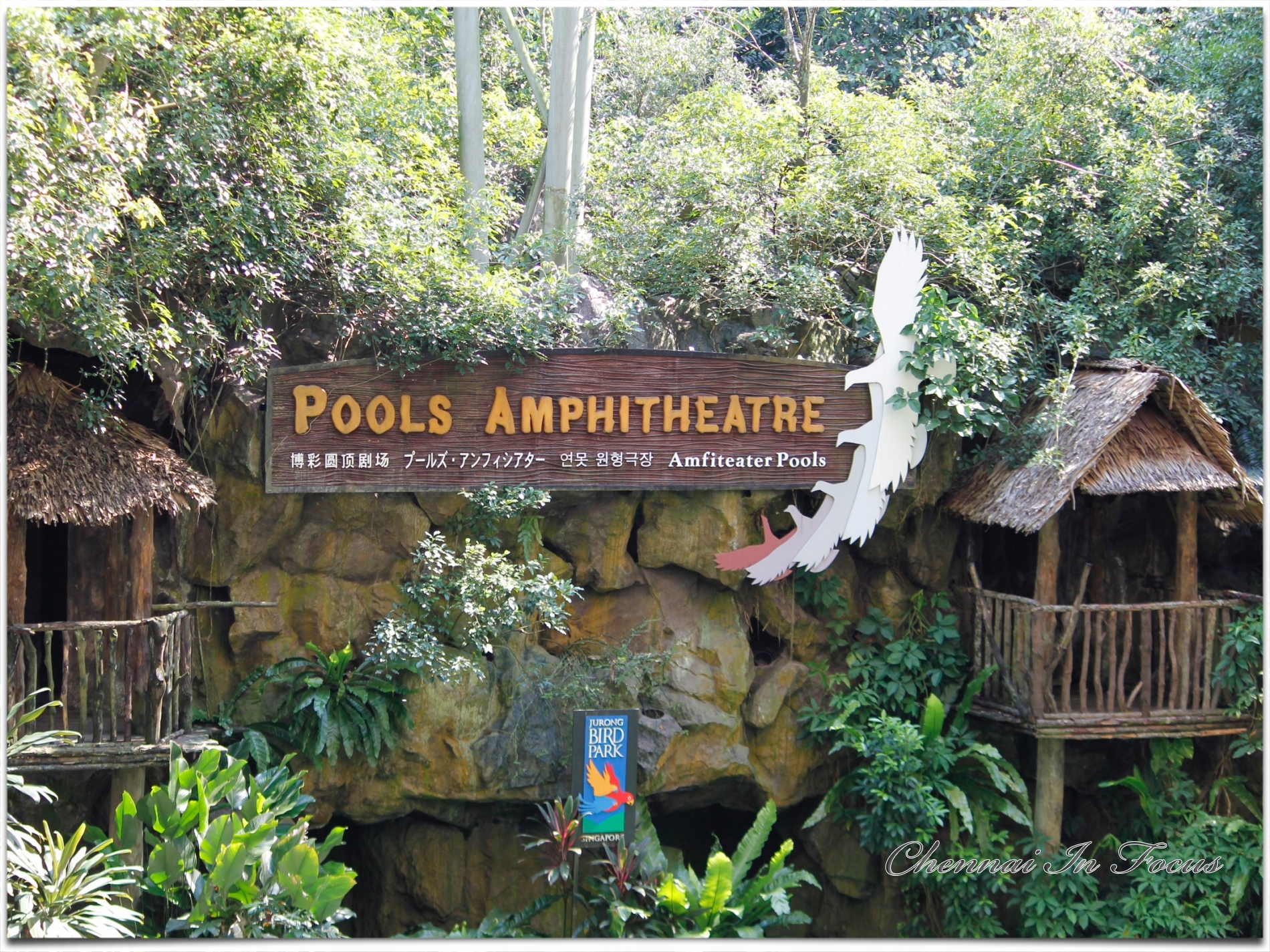 Jurong Bird Park -  Wildlife Reserves Singapore