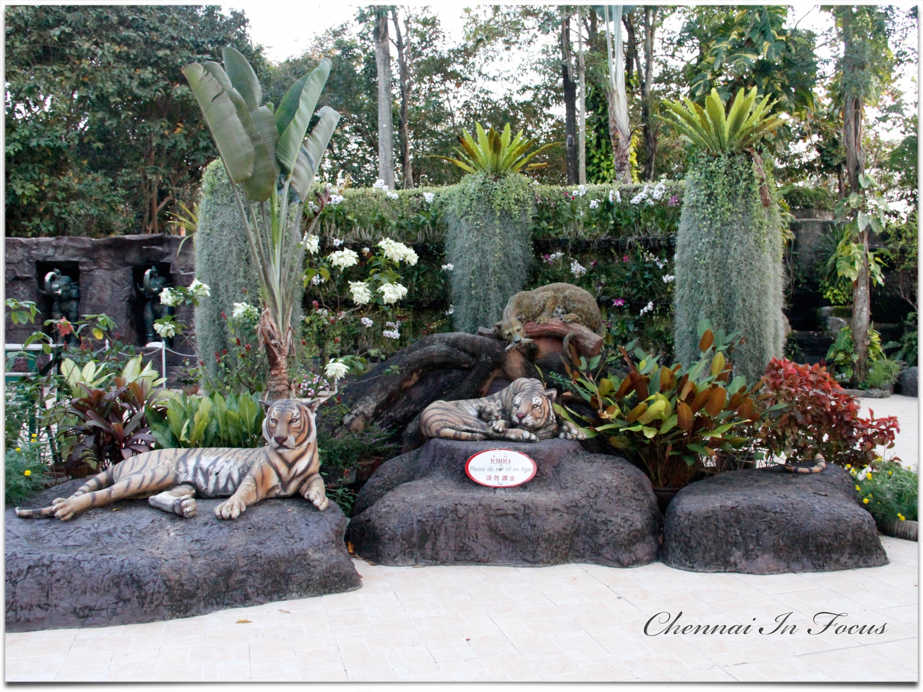 Sriracha Tiger Zoo - Pattaya