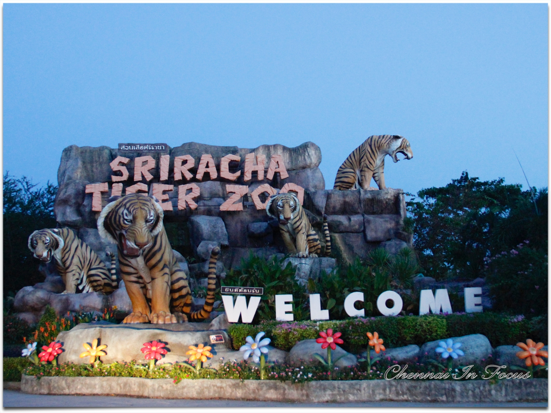 Sriracha Tiger Zoo - Pattaya