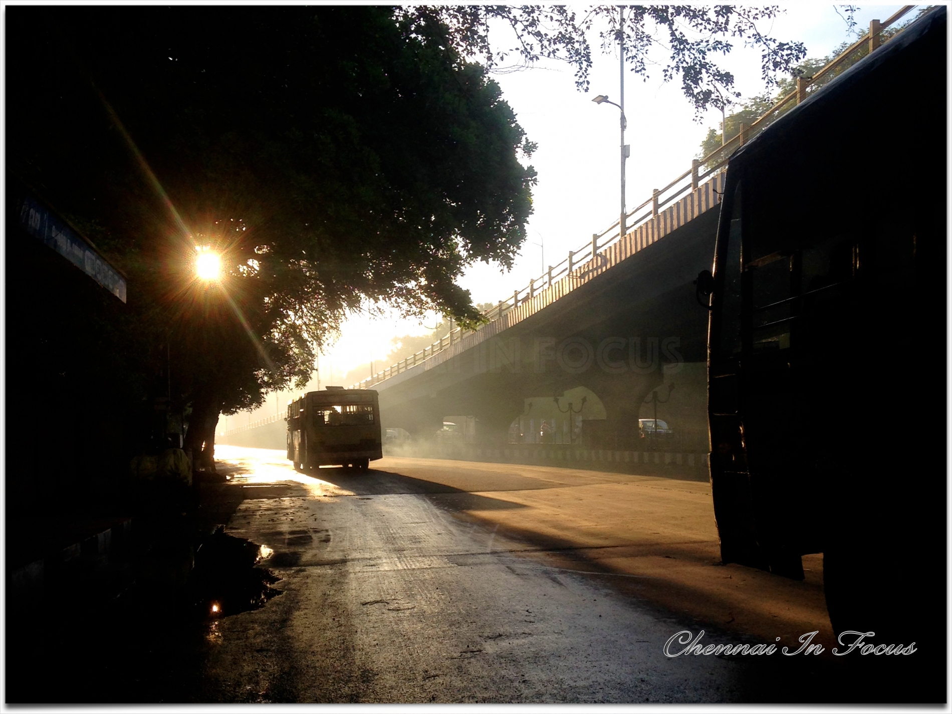 Silhouette | Backlight | Photography