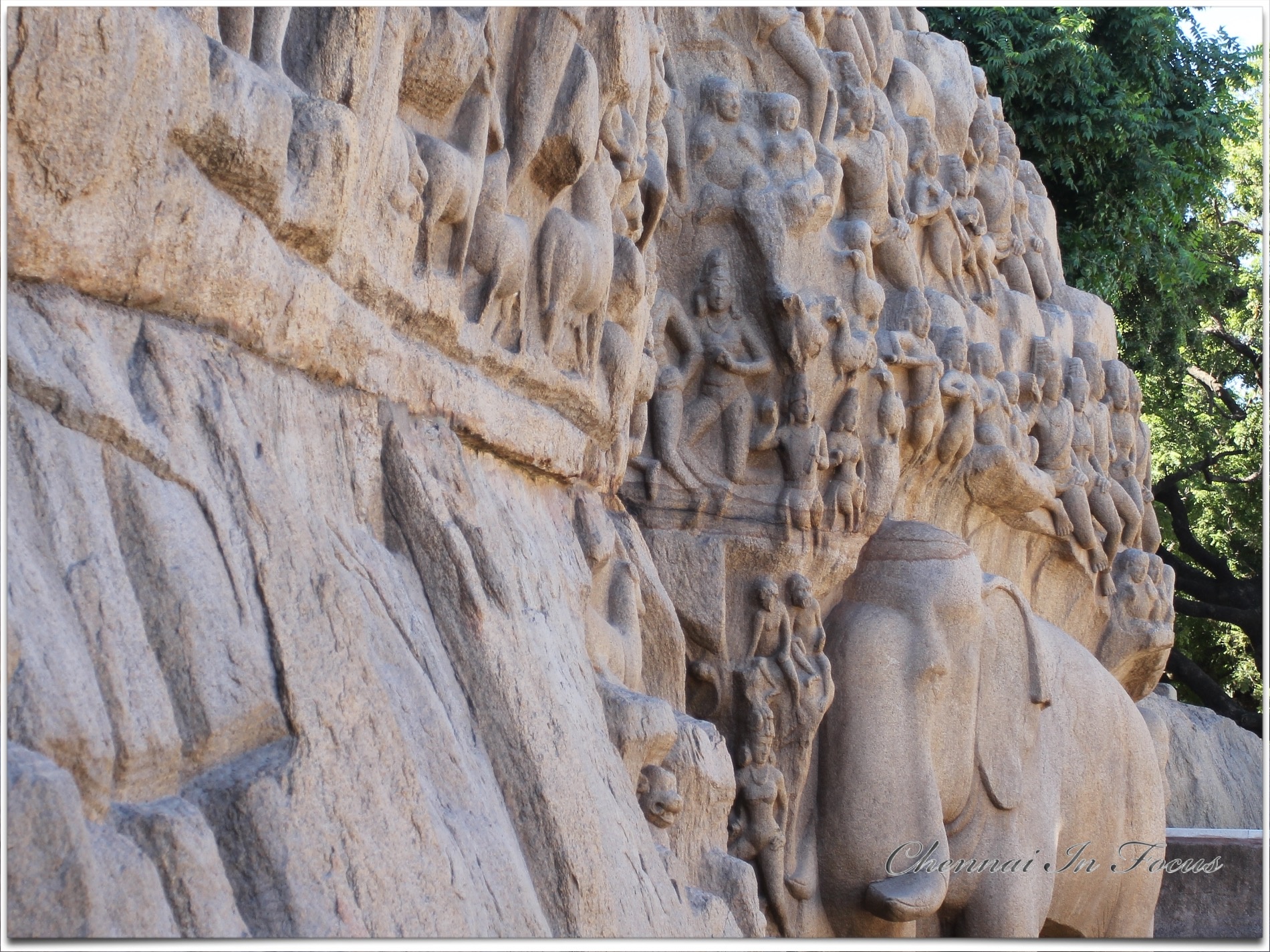  Mahabalipuram | Arjuna's Penance | அர்ச்சுனன் தபசு