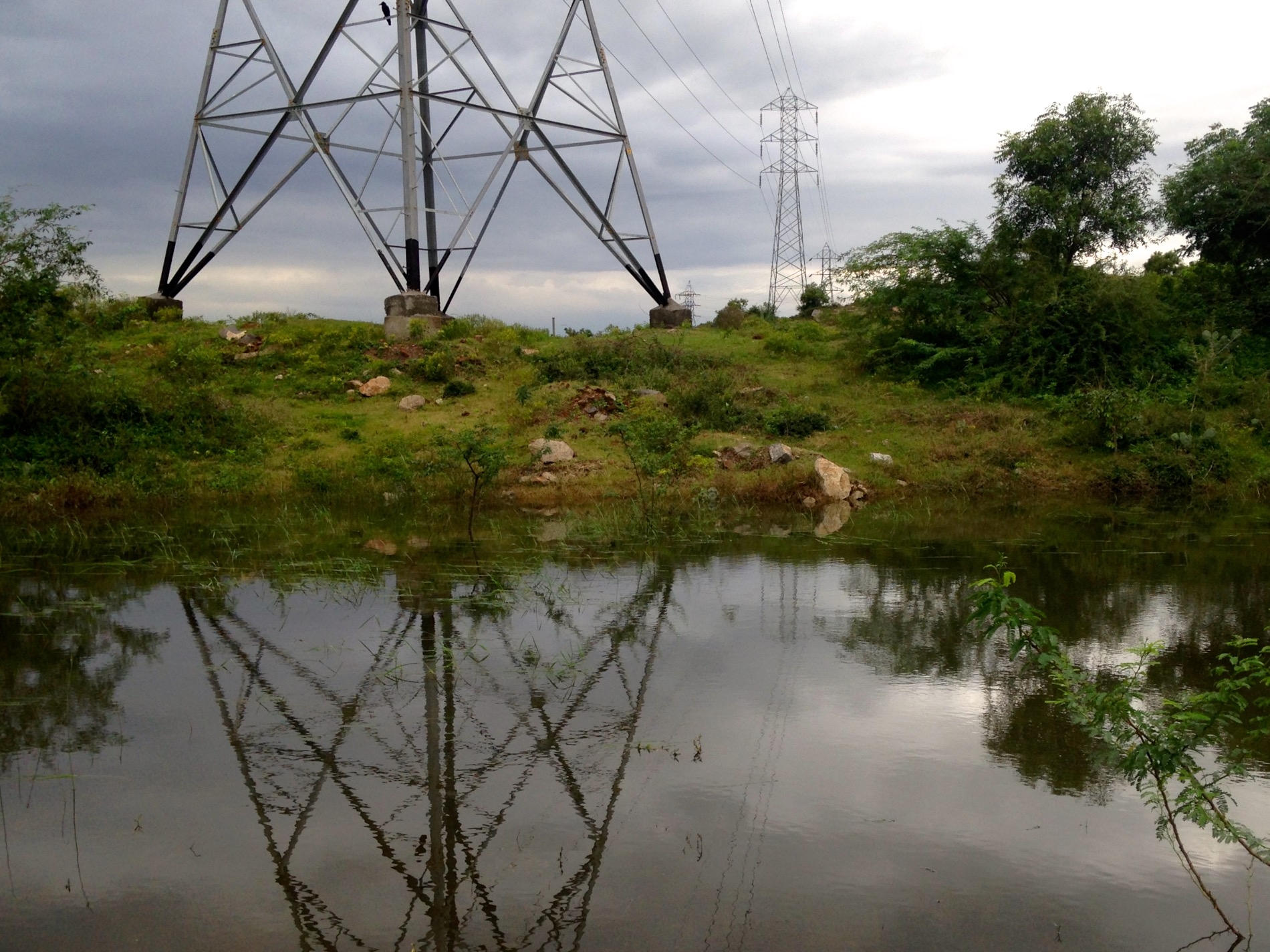 power grid lines