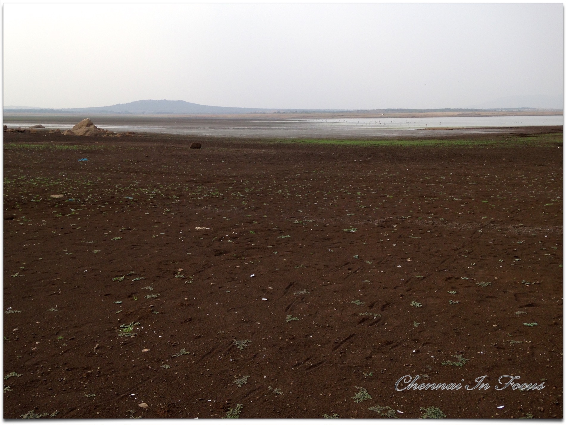 Vaigai Dam