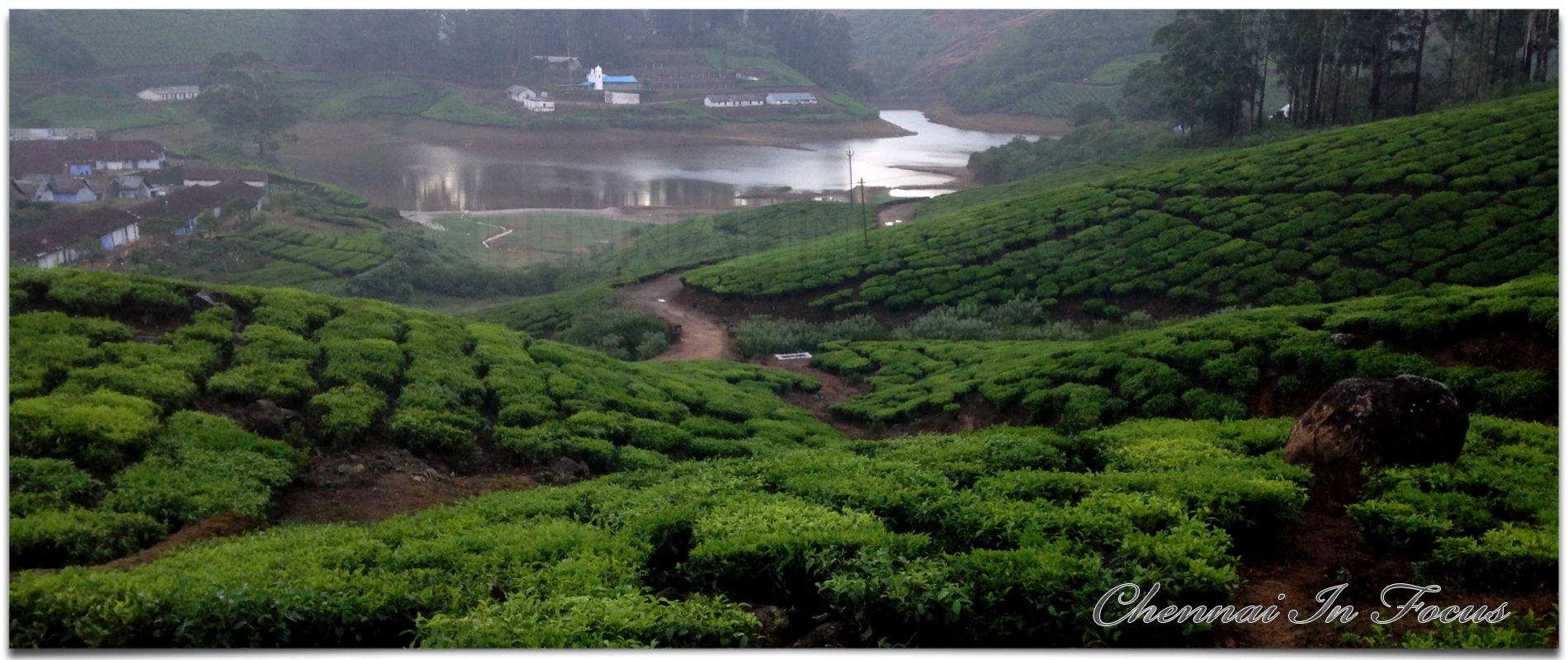 Megamalai - மேகமலை