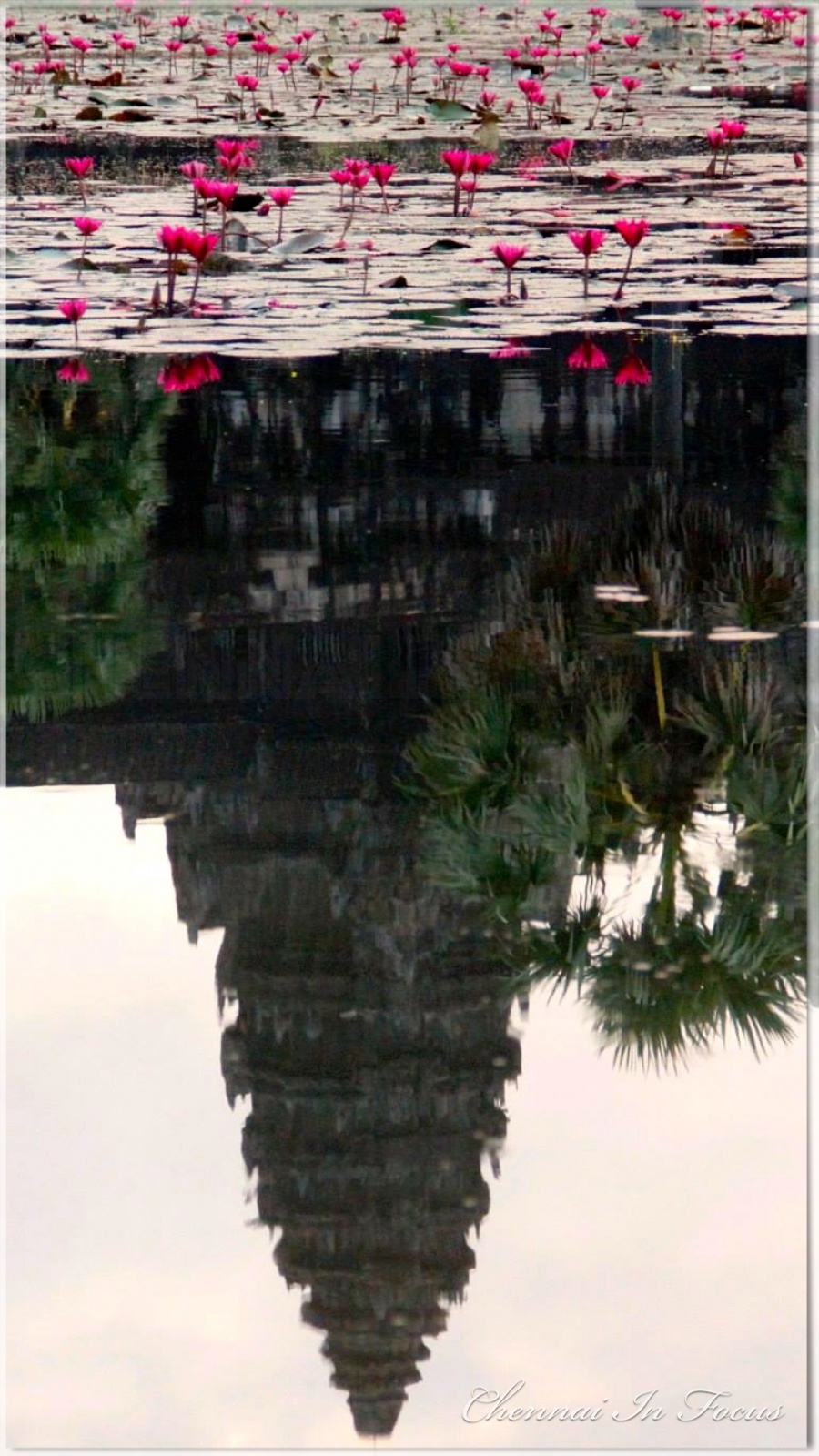 Angkor Wat | Cambodia