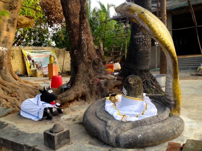 Sri Arulveli Siddhar Baba Jeeva Samadhi