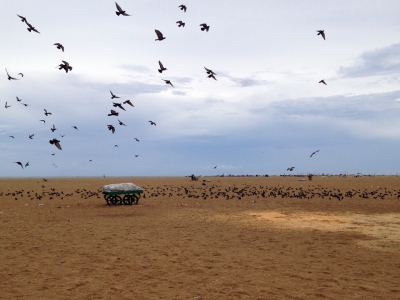 Marina Beach | மெரினா கடற்கரை | Kalicharan