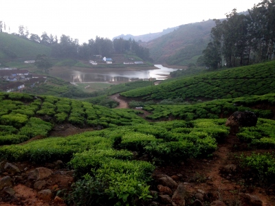 Megamalai - மேகமலை