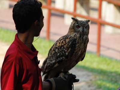 Jurong Bird Park -  Wildlife Reserves Singapore