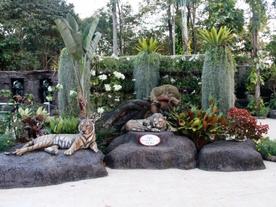 Sriracha Tiger Zoo - Pattaya