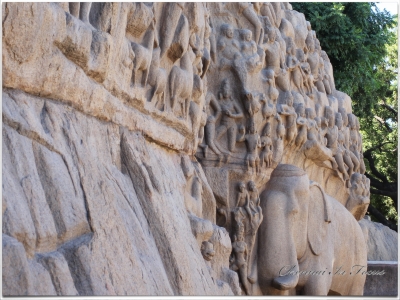  Mahabalipuram | Arjuna's Penance | அர்ச்சுனன் தபசு